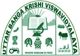 UBKV Logo